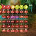 Jadwal pertandingan Judi  sabung ayam